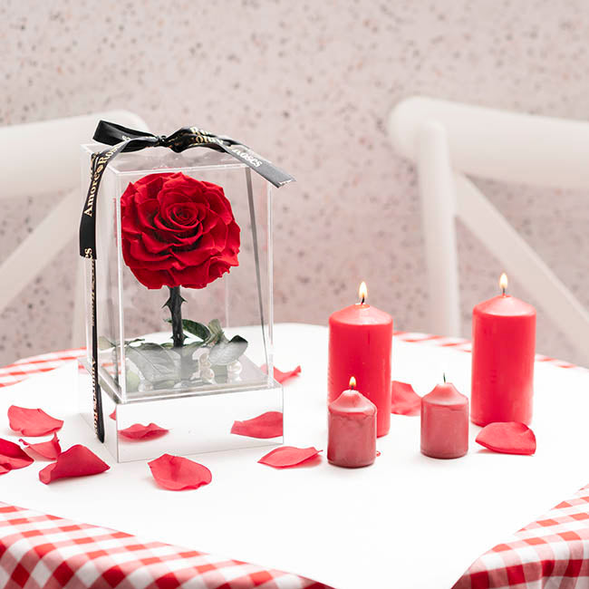 Amore Forever Rose Single Stem Acrylic Box Red (13x22cmH)