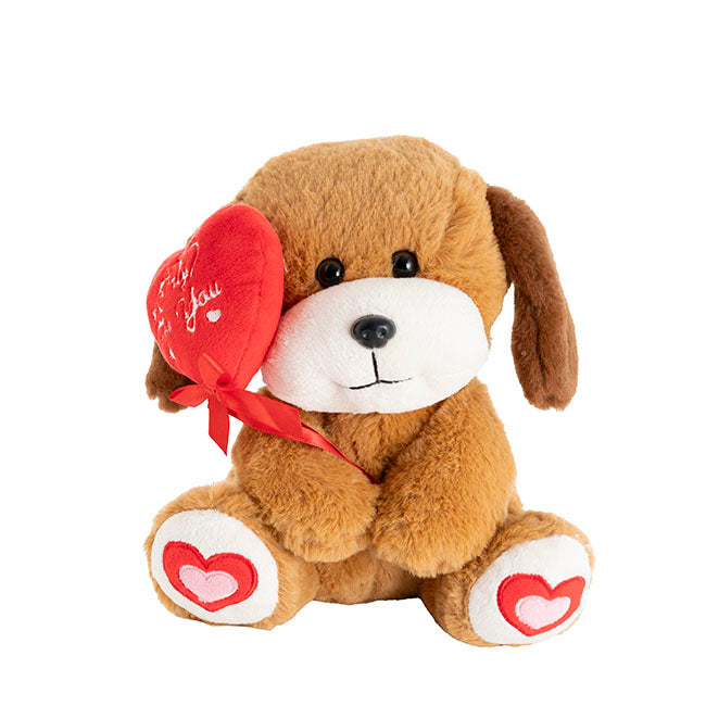 Puppy Biscuit w Only For You Balloon Brown (21cmST)