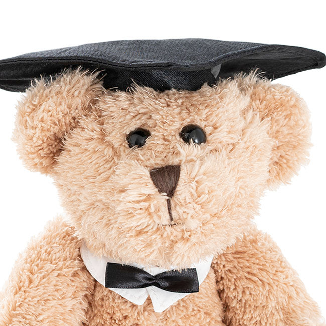 Graduation Teddy Bear William Jointed Brown (20cmHT)