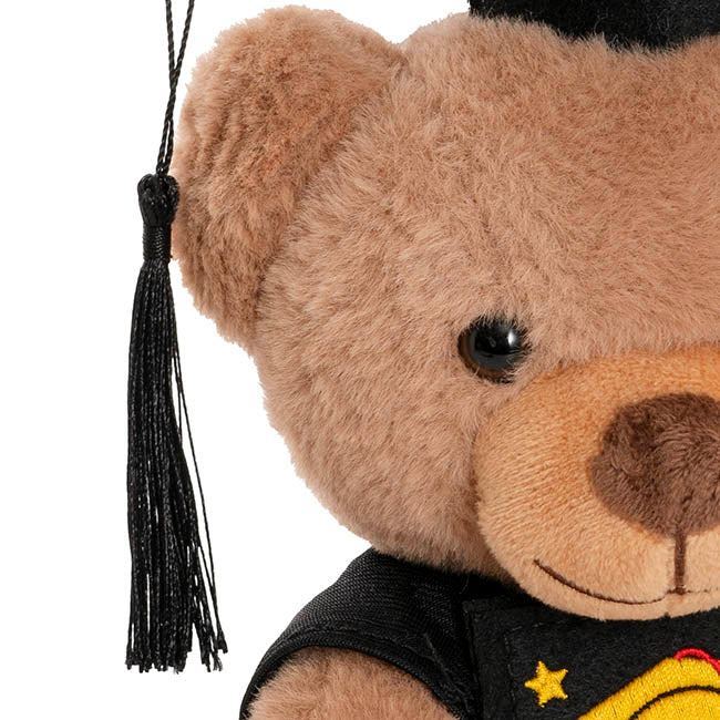 Graduation Teddy Bear Arnold w Congrats Top Brown (20cmST)