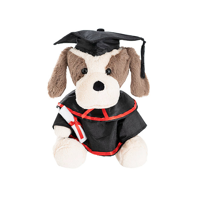 Graduation Puppy Robbie Plush Soft Toy Cream (25cmST)