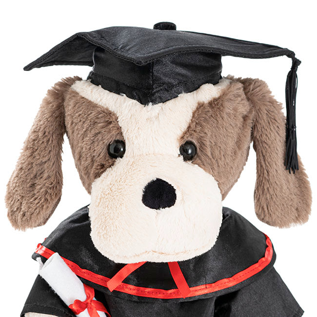 Graduation Puppy Robbie Plush Soft Toy Cream (25cmST)