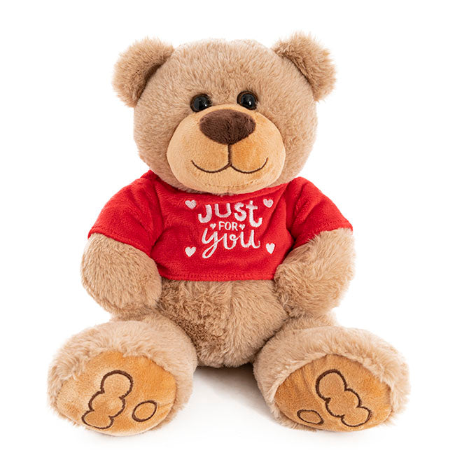 Riley Bear with T-Shirt Brown (25cmST)