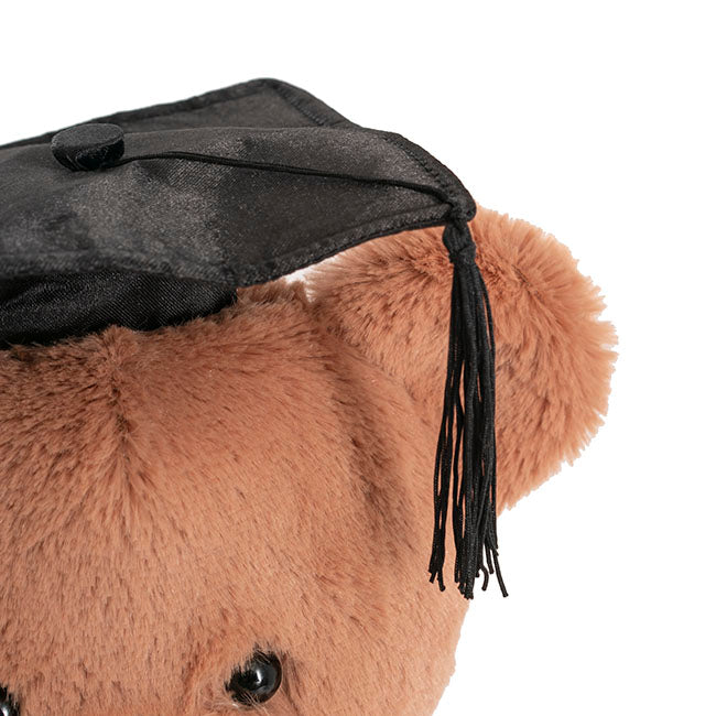 Graduation Teddy Bear Charles Light Brown (30cmST)