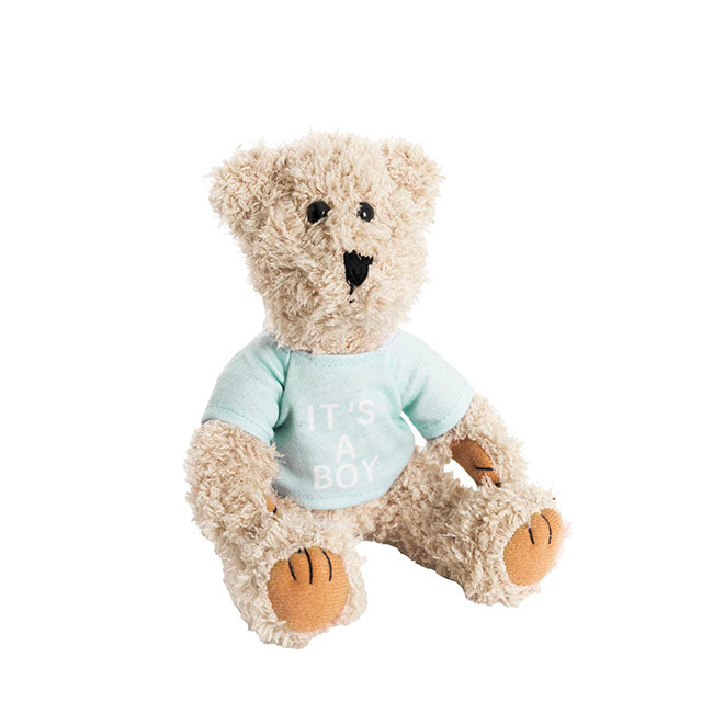 Teddy Bear Message Its a Boy Blue T Shirt (20cmHT)