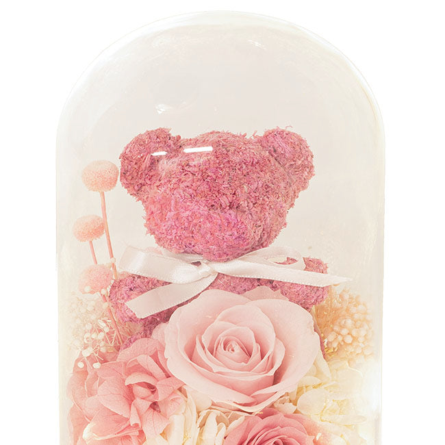 Preserved Rose Bear Hydrangea LED Cloche Soft Pink(12x20cmH)