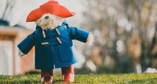 Our top ten favorite famous fictional bears