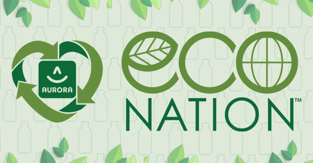 The Future of Sustainability in the Toy Industry: Eco Nation’s Vision
