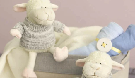 The Science Behind the Comfort of Animal Soft Toys