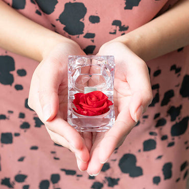 Amore Forever Rose Diamond  Acrylic Box Pack 12 Red (4.5cmH)