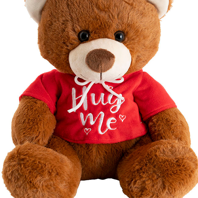 Hug Me Teddy Bear w Hoddie Brown (26cmST)