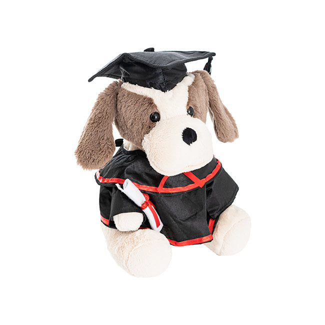 Graduation Puppy Robbie Plush Soft Toy Cream (25cmST)