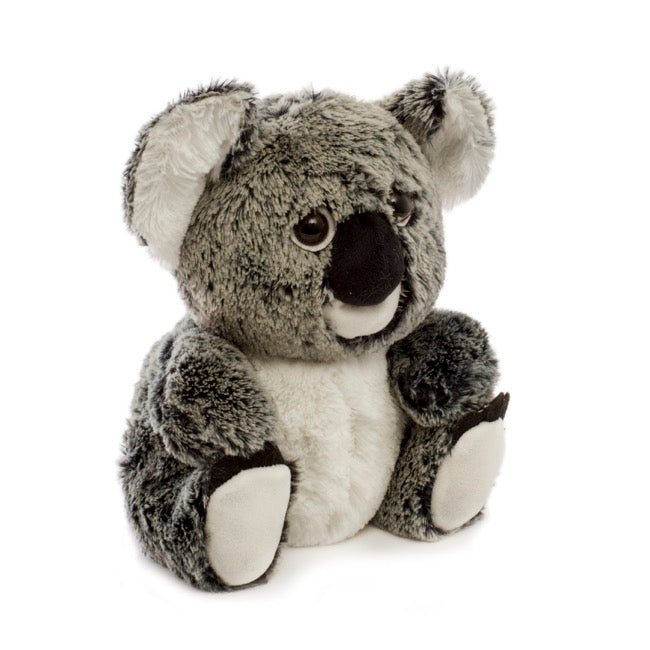 Kev Koala Bear (26cmST)